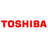 Чистка ноутбука toshiba в Дубне